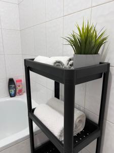 a black shelf in a bathroom with a plant on it at Apartment 777 in Bijelo Polje +2 photos
