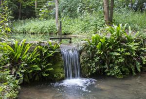 una cascada en medio de un jardín con plantas en Bay Tree Cottage, en Shipton under Wychwood