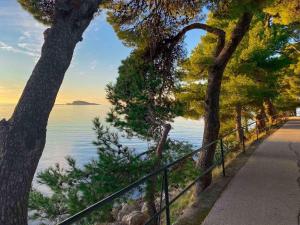 a path next to the water with trees and a fence at Apartments Kralj Ana in Cavtat