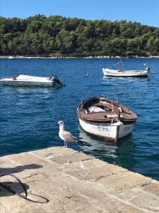 a bird standing on a ledge next to a boat at Apartments Kralj Ana in Cavtat