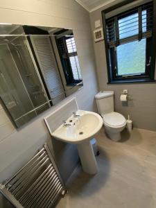 a bathroom with a sink and a toilet and a mirror at L19 - Penrhyn Spa Lodge with Hot Tub in Bethesda