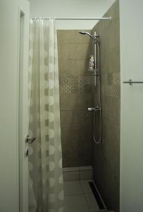 a bathroom with a shower with a shower curtain at Vintage Downtown Rooms in Braşov +68 photos