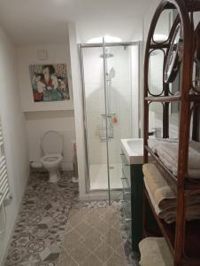 a bathroom with a shower and a toilet and a sink at Thuir: superbe appartement in Thuir