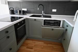 uma cozinha com um lavatório e um fogão em Rest apartment Cerknica em Cerknica