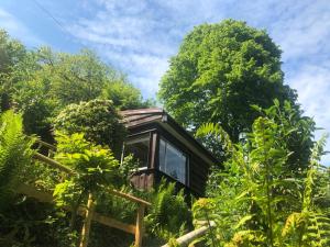a tree house in the jungle at Churchwood Valley in Plymouth