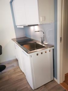 eine kleine Küche mit einer Spüle und einer Theke in der Unterkunft The House of Aurora II in Tromsø