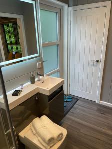 a bathroom with a sink and a mirror and a toilet at P56 - Studio Pod with Hot Tub in Bethesda