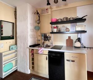 a small kitchen with a sink and a dishwasher at Kanne's Apartment in Trichtingen