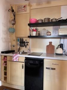 een keuken met een zwarte vaatwasser naast een wastafel bij Kanne's Apartment in Trichtingen