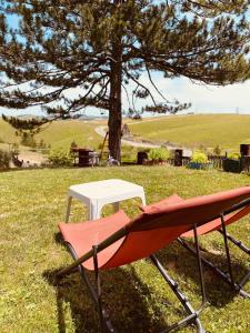 Gallery image of Brvnara ispod Čigote in Zlatibor