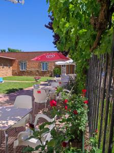 A garden outside Albergue Santa Ana