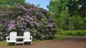 two white chairs sitting in front of a bush of flowers at Glamping Pod in Nordholz