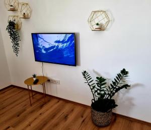 Μια τηλεόραση ή/και κέντρο ψυχαγωγίας στο Apartment Leona