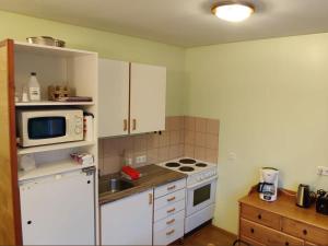 Kuchyň nebo kuchyňský kout v ubytování Bakland ad Lágafelli Apartment