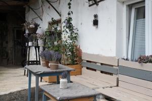 a table with potted plants on the side of a building at BEM6 ROM-ANTIK - design lakás terasszal a várnál in Veszprém