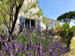 Vonkajšia záhrada v ubytovaní Villa avec Jardin à 250 m de l'océan WIFI
