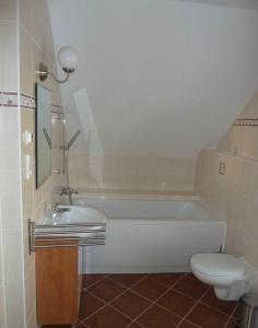 a bathroom with a tub and a toilet and a sink at Villa Gamma - Lipno Home in Lipno nad Vltavou