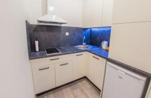 Η κουζίνα ή μικρή κουζίνα στο Apartment Neretva Magic Dream