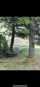 Gallery image of Cute Little Cabin (Near the Nantahala River) in Topton +16 photos