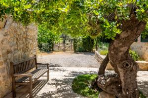 Zahrada ubytování Selva - 38903 Mallorca