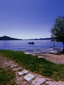 Imagen de la galería de Camping Solcio, en Lesa