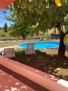 two chairs under a tree next to a swimming pool at LE MAS de PAUL in Saint-Julien-de-Cassagnas