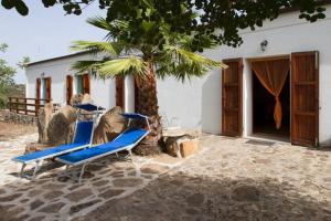 two blue lounge chairs sitting next to a palm tree at Agriturismo Pentuma in Chiaramonti