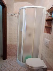 a bathroom with a shower and a toilet at Casa girasole in Isola del Giglio