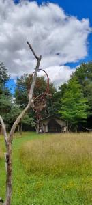 a tree branch with a red object in a field at La lodge du Refuge in Valigny