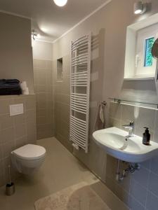een badkamer met een toilet en een wastafel bij Forellenhof in Nordhastedt