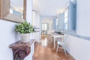 a kitchen with blue cabinets and a potted plant on a table at Apartamentos Suites Santa Cruz in Seville
