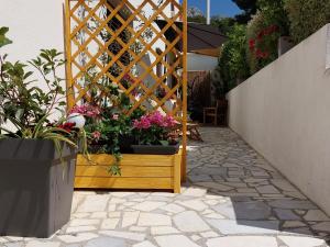 Zahrada ubytování Apartman Valeria