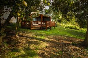 a cabin in the middle of a field with trees at Newsham Grange Farm in Thirsk