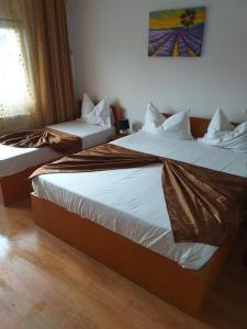 dos camas sentadas una al lado de la otra en una habitación en Vila Efor, en Eforie Nord