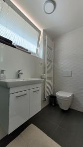 a bathroom with a sink and a toilet and a window at Apartma Julija in Luče