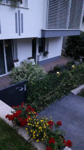 Zahrada ubytování Apartma Julija