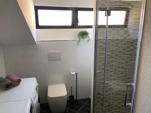 een badkamer met een toilet en een glazen douche bij Room Aria in Kobarid