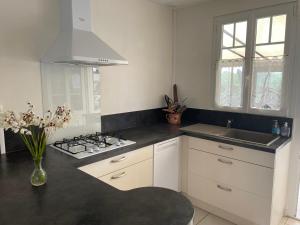 Kuchyňa alebo kuchynka v ubytovaní Villa Honey Moon