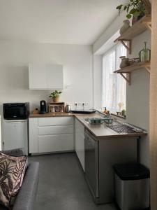 cocina con armarios blancos y encimera en Appartement T2 proche de la gare Bourg en Bresse, en Bourg-en-Bresse