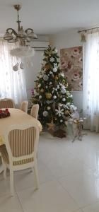 a christmas tree in a room with a table and chairs at CASA ICA in Baile Felix