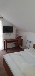 a bedroom with two beds and a desk and a tv at CASA ICA in Baile Felix