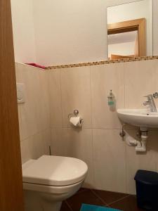 a bathroom with a toilet and a sink at Appartement Maria in Westendorf +4 photos