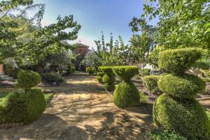 Ogród w obiekcie Finca Villa Juan