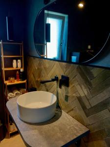 uma casa de banho com um lavatório e um espelho grande em Vila Casa9 em Eşelniţa