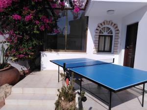 a blue ping pong table in a courtyard with flowers at Lovely six bedroom villa in coral bay , car not essential in Peyia