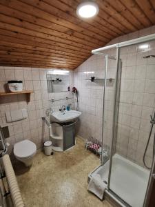 W łazience znajduje się prysznic, umywalka i toaleta. w obiekcie Ferienwohnungen Böhm w mieście Sankt Jakob in Defereggen