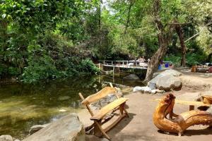 a couple of wooden benches next to a river at FOREST Guest House in Mirzakishlak