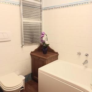 uma casa de banho com WC e uma flor num armário em Il nido incantato em Andalo