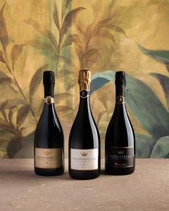 three bottles of wine sitting on a table at Biondelli Boutique Winery in Cazzago San Martino