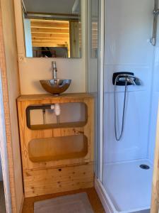 tiny house du poulloguer في Prat: حمام صغير مع حوض ومرآة